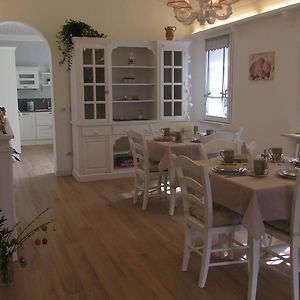 B&B Nadine